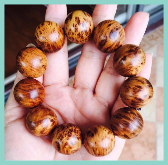 ‘ky开元集团’美国景观设计师协会ASLA表彰33位杰出的会