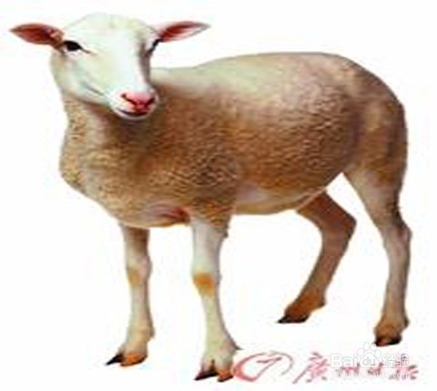 kycom：那些塞进世界名画里的猫咪(图2)