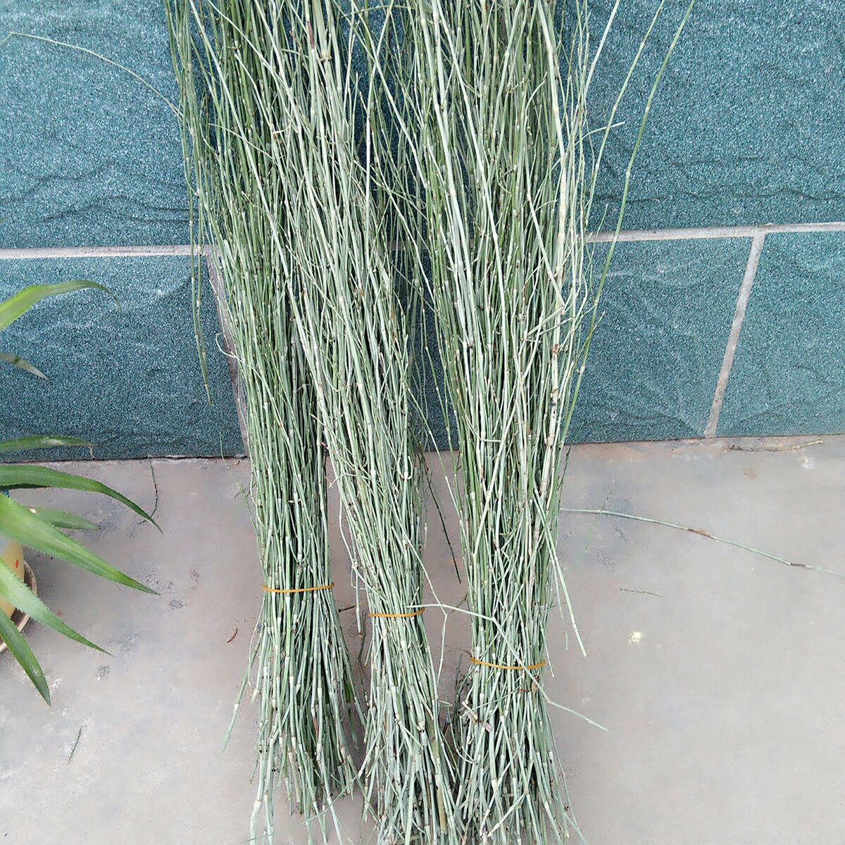 甘肃省兰州实验小学(区重点)周边小区详情“KY.COM”(图2) ky开元集团