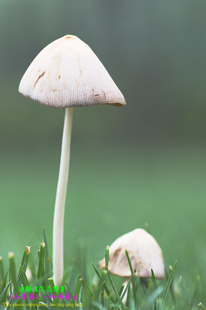 【ky开元集团】(07月28日)伊犁“贡煤”明年将变成天然气(图2) 【ky开元集团】(07月28日)伊犁“贡煤”明年将变成天然气(图2)