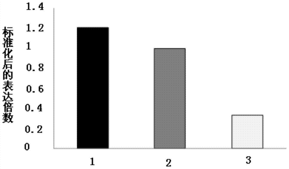 【KY.COM】意甲-沙拉维斩杀旧主托蒂神传球 罗马3-1米兰第3(图2)