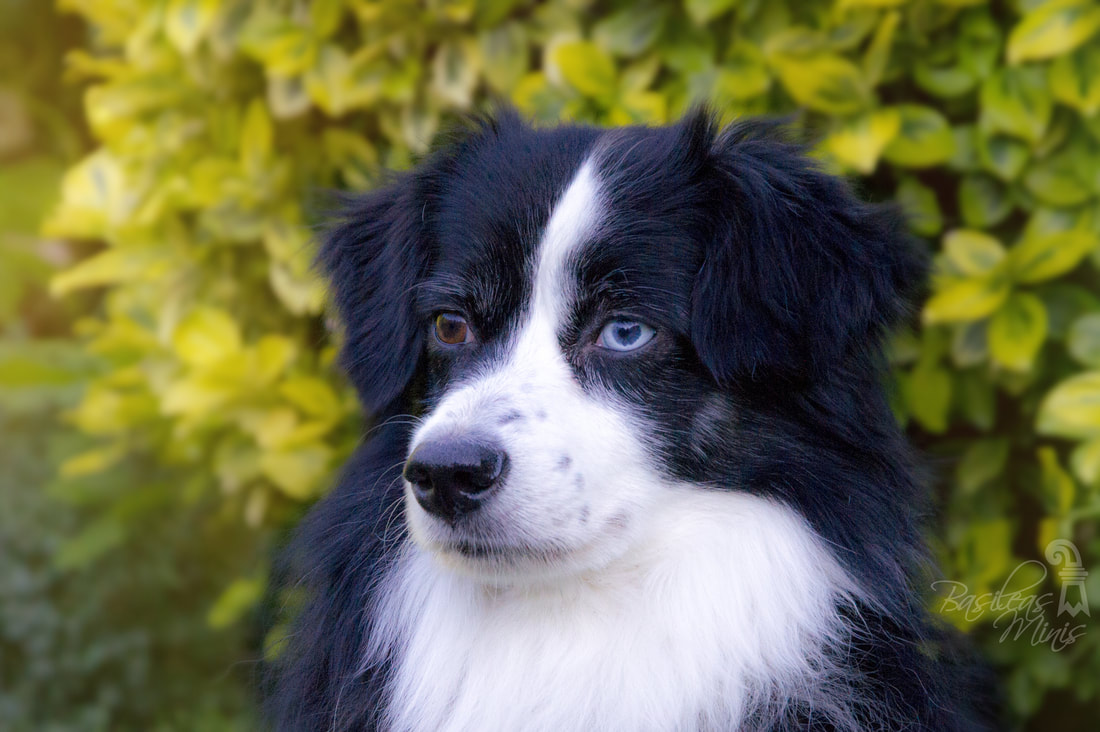 慕田峪规划七景区保护明长城精华‘ky开元集团’(图2) 慕田峪规划七景区保护明长城精华‘ky开元集团’(图2)