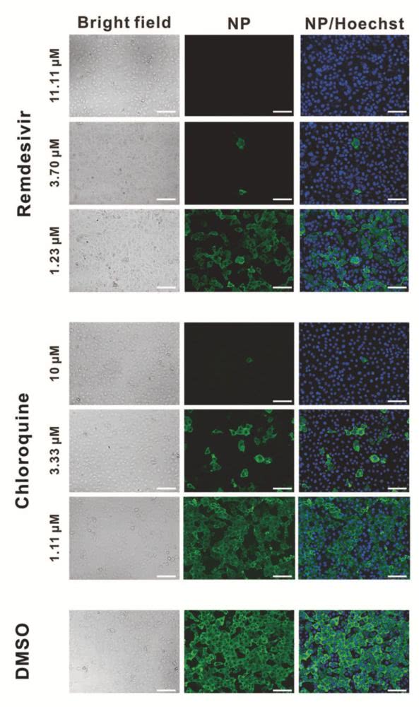 为满足线上传播需求,宜家推出白色动态“窗户”LOGO:kycom(图1) 为满足线上传播需求,宜家推出白色动态“窗户”LOGO:kycom(图1)