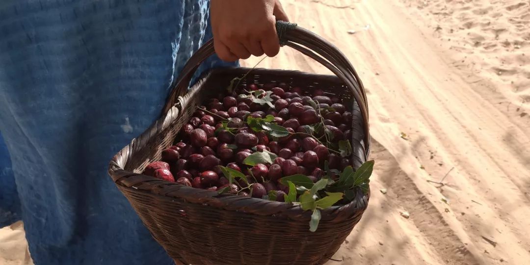 KY.COM_湖北23家化企查出安全隐患336项(图2)