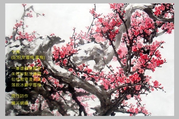 大城市规划师恋上贫困村：ky开元集团(图1)