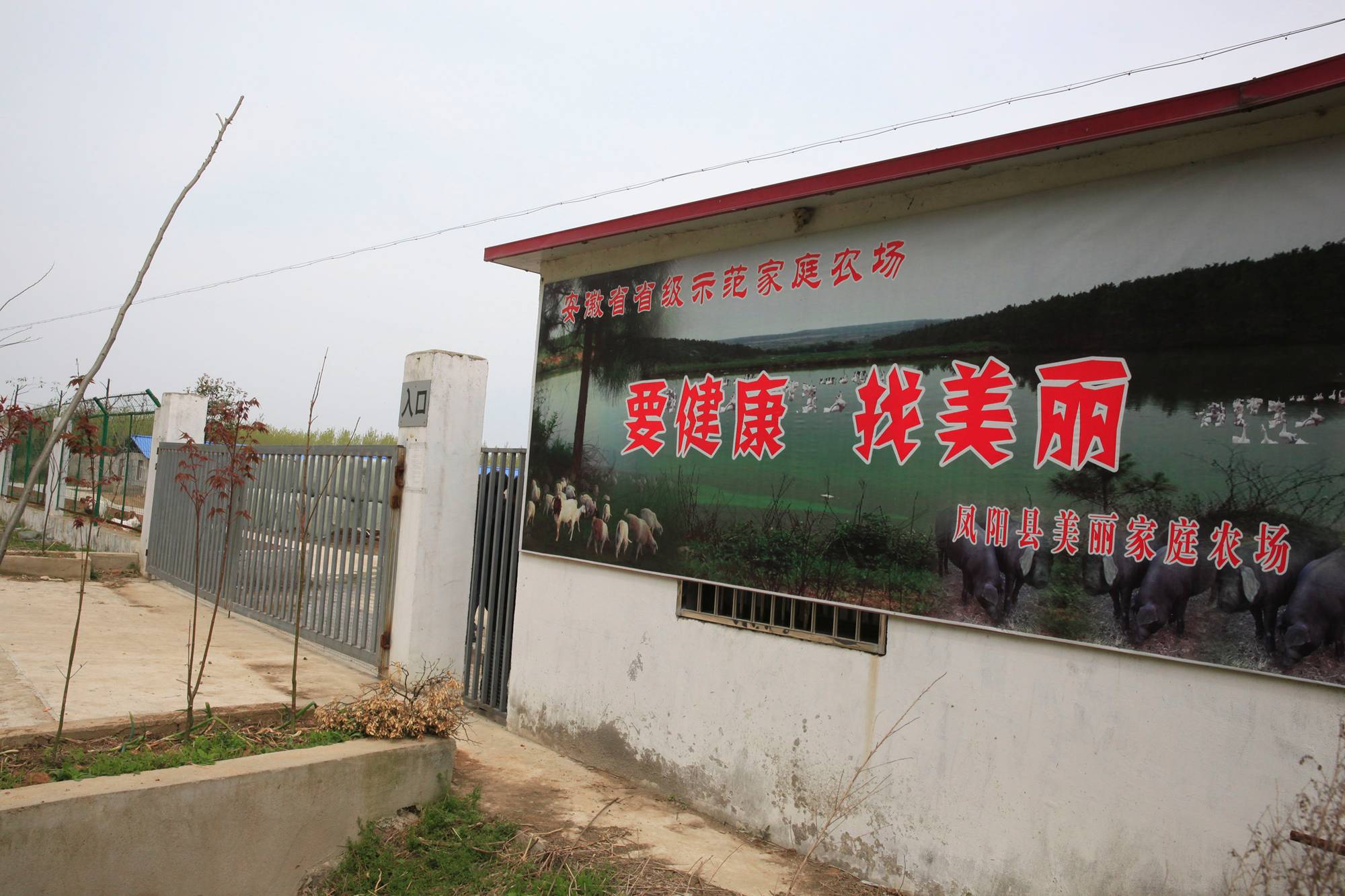 KY.COM：美国芝加哥玛丽巴特莫公园(图1)