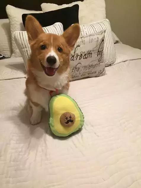 未来五年仪器仪表业产值或达万亿元_ky开元集团(图4)