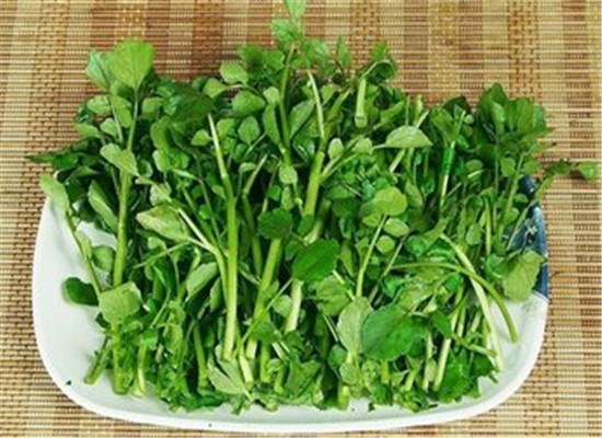 意甲最新积分榜:国米欧冠资格关键战惨败 末轮死磕保级弱旅!‘kycom’(图2)
意甲最新积分榜:国米欧冠资格关键战惨败 末轮死磕保级弱旅!‘kycom’(图2)