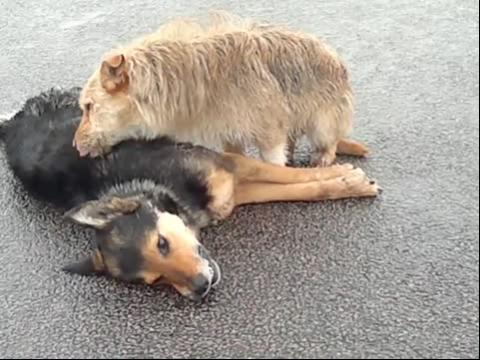 ky开元集团|他才华横溢曾经让梅西自愧不如！如今退役让分迷惋惜不已！(图3)