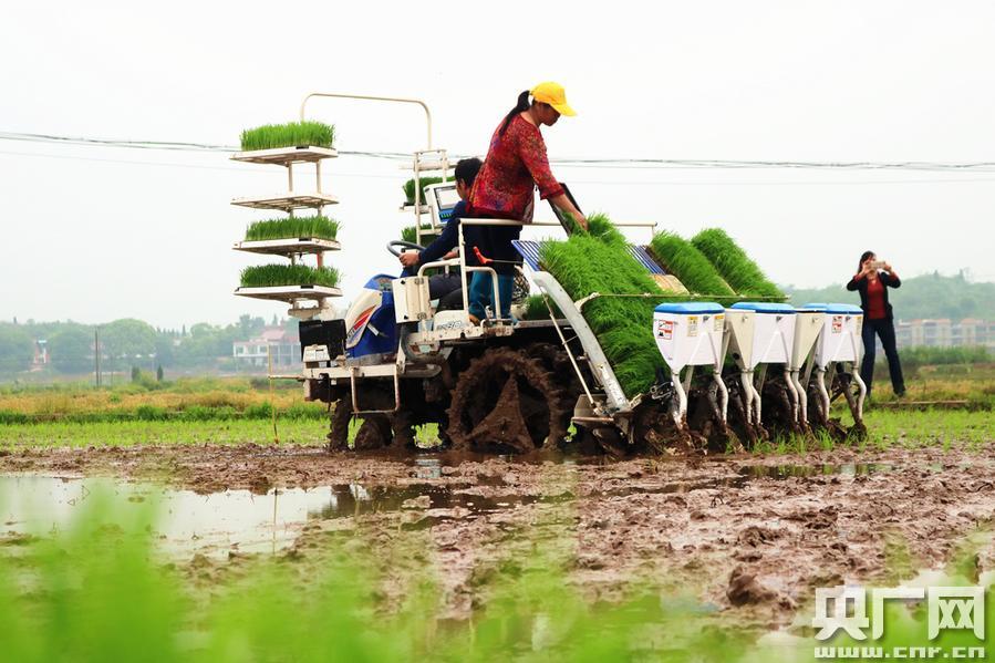 ‘ky开元集团’青岛规划局答复经适房画窗:责令建设单位立即整改(图1) ky开元集团