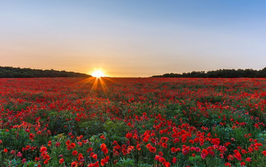 kycom-多纳多尼资本是救火经验上任首战就迎保级大战(图3) kycom-多纳多尼资本是救火经验上任首战就迎保级大战(图3)