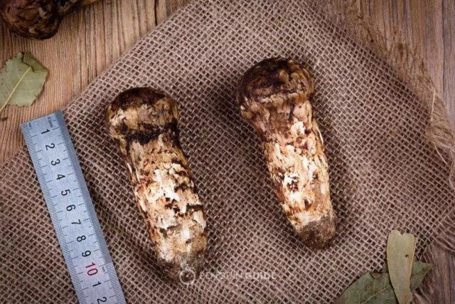 盘点英国足球九大历史巨星,小贝上榜,可谓星光璀璨‘ky开元集团’(图3) 盘点英国足球九大历史巨星,小贝上榜,可谓星光璀璨‘ky开元集团’(图3)