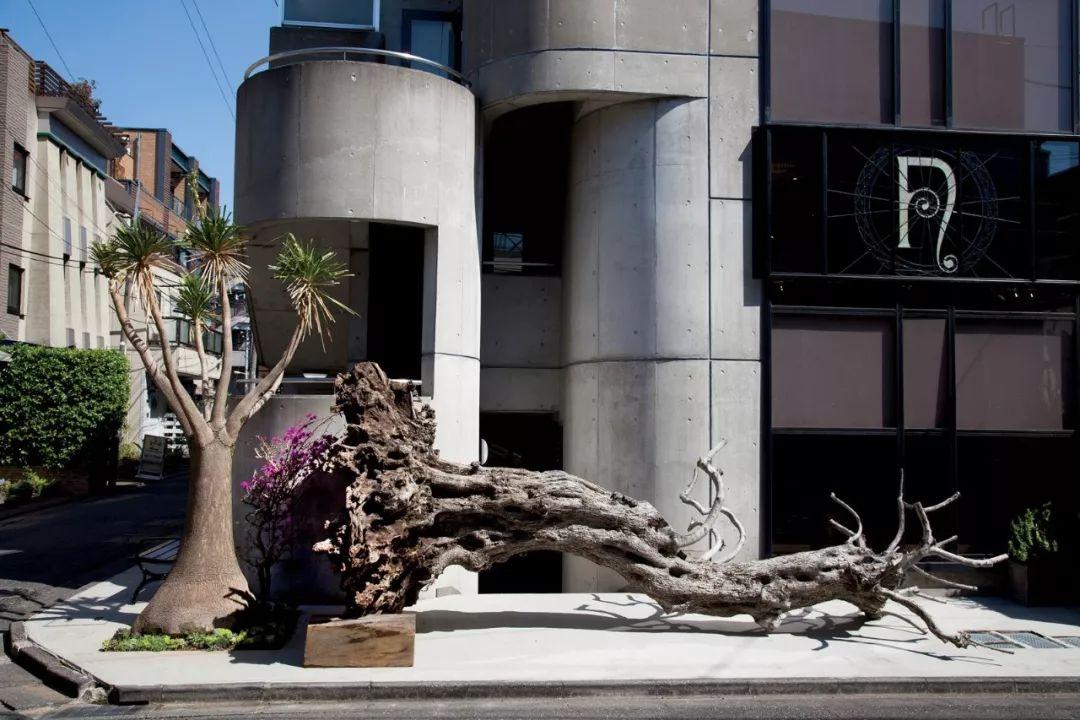 欧冠-博努奇妙传迪巴拉戴帽 尤文3-0豪取两连胜_ky开元集团(图1) 欧冠-博努奇妙传迪巴拉戴帽 尤文3-0豪取两连胜_ky开元集团(图1)