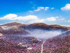 【kycom】德克萨斯州达拉斯的贝洛公园景观设计(图1)