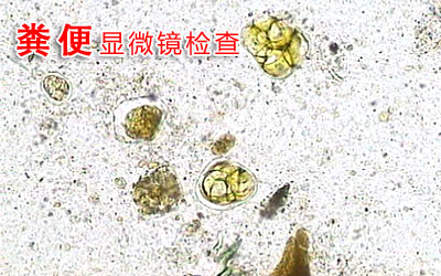 ky开元集团-秸秆乙醇关键技术通过科技部专家组的验收(图3) ky开元集团-秸秆乙醇关键技术通过科技部专家组的验收(图3)