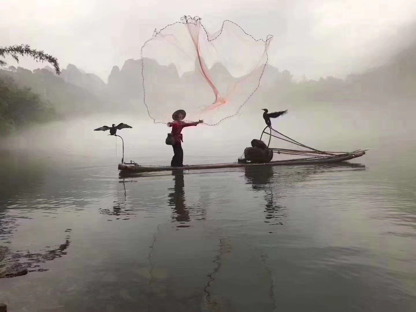 ‘KY.COM’WAF2012年度世界建筑:wilkinsoneyresgardensbythebay(图3)