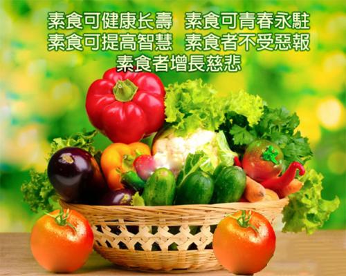 KY.COM-用“水的记忆”反思上海(图1) KY.COM-用“水的记忆”反思上海(图1)